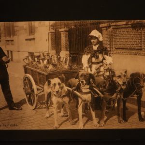 Postcard -Social History,  Belgian Dog Cart with milk churns - 1913