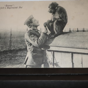 Postcards - Military-"Bronco" = Royal Norfolk Regt PET