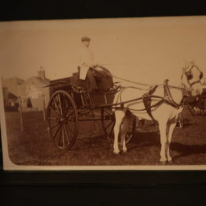 Postcards - Social History - Pony and cart at a show c.1920