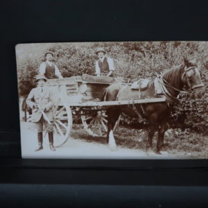 Socal History /Farm Cart - Hampshire  r/p c.1920