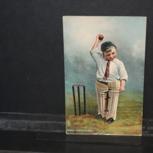 Comic Postcards = (Cricket interest) "Well Caught Sir" .1912