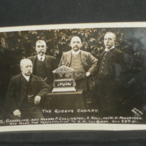 Postcards - Norfolk - The Queens Canary -1911