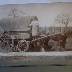 Postcards - mSociaol History - Cvered wagon and Horses