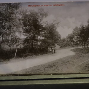 Postcards - Mousehold Heath - Norwich 1904