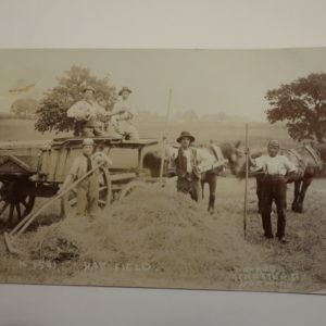Postcards - Norfolk - "Hay Field" - G. Nokes