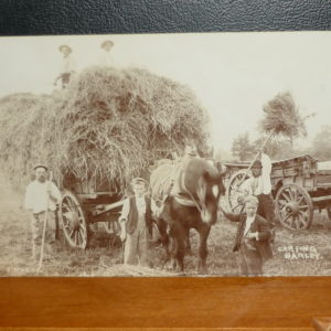 Postcards - Norfolk - G.Nokes "Carting Barley"