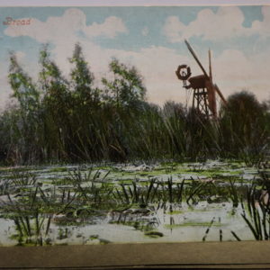 Postcard = Norfolk, Rockland Broad  1906
