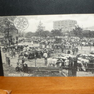 Postcards - Norwich Castle  and cattle Market 1905