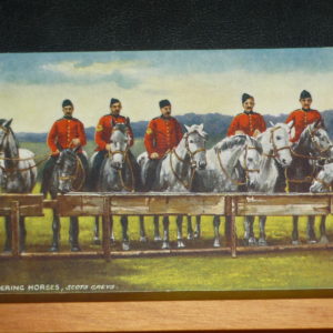 "Watering Horses "Scots Greys" early card c.1905