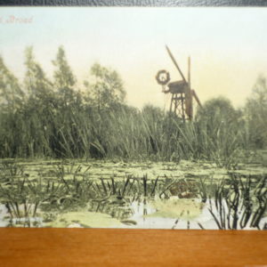 Skeleton Mill at Rockland Broad, Norfolk